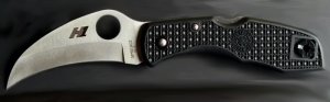 SC106PBK Spyderco Tasman Salt