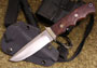 BRK-Lil'Chute-ABt.jpg(2 kb)