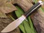BRK146-BCt.jpg(1 kb)