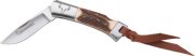 BR794t.jpg(2 kb)