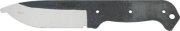 BL557t.jpg(1 kb)