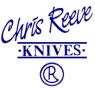 chrisreeve.jpg(2 kb)