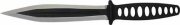 CTK1004CBt.jpg(2 kb)