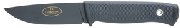 FN2t.jpg(2 kb)