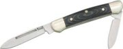 NRA12770t.jpg(2 kb)