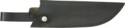 SH900t.jpg(2 kb)