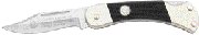PU230255t.jpg(2 kb)