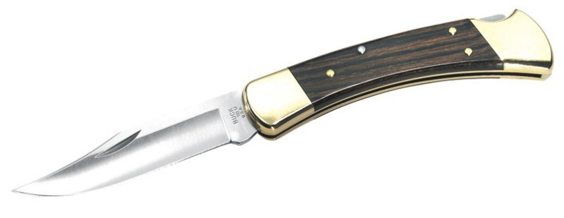 bu110b.jpg(18 kb)