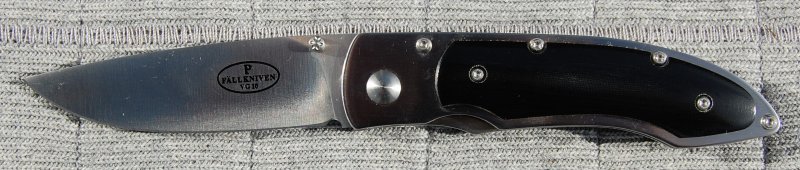 fnp1.jpg(46 kb)