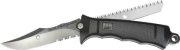 SOG07007t.jpg(2 kb)