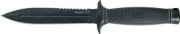 SOG99012t.jpg(2 kb)