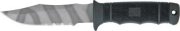 SOG99046t.jpg(2 kb)