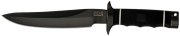 SOG99580t.jpg(2 kb)