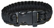 JBSB-16t.jpg(5 kb)