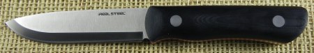 rs3725.jpg(12 kb)