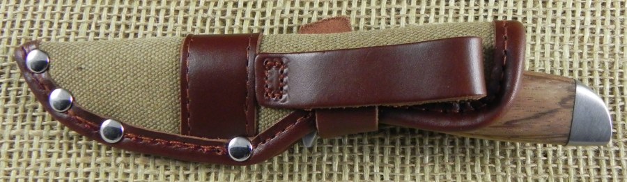 Image8.jpg(80 kb)