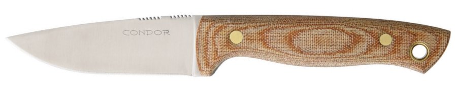 CTK1003.jpg(23 kb)