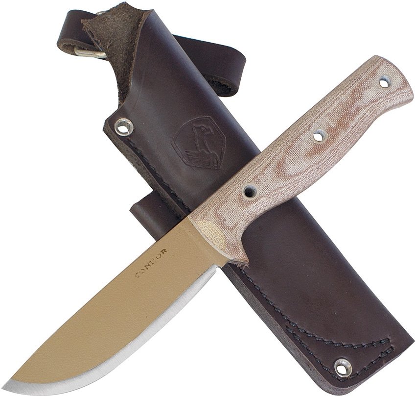 CTK390945.jpg(90 kb)