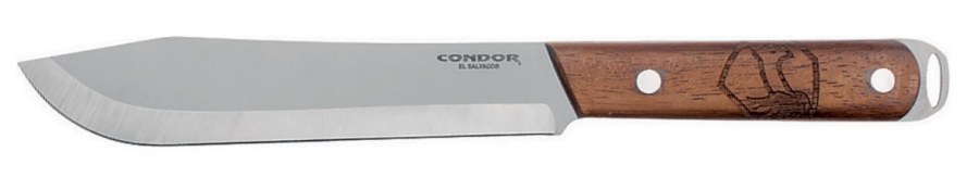 CTK50047.jpg(16 kb)