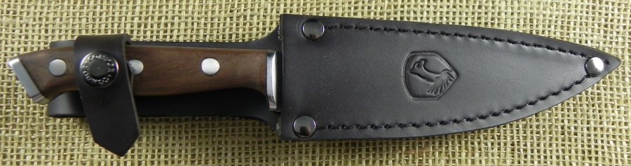 Image8.jpg(73 kb)