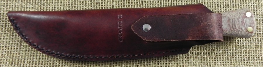 Image10.jpg(62 kb)