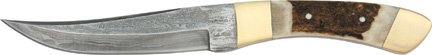 DM1007.jpg(6 kb)
