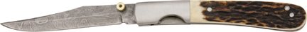DM1016.jpg(5 kb)