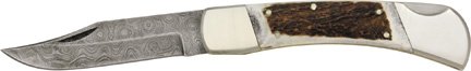 DM1020.jpg(7 kb)