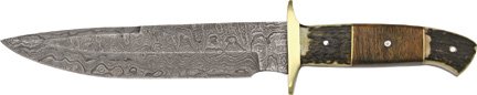 DM1044.jpg(8 kb)