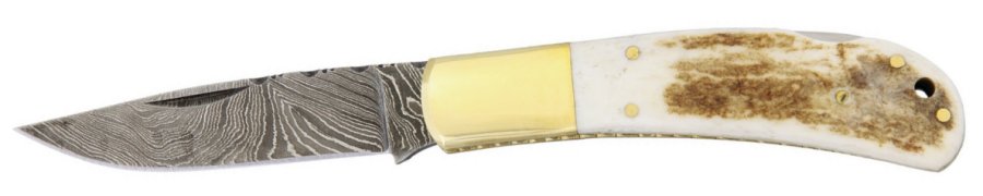 DM1168.jpg(22 kb)