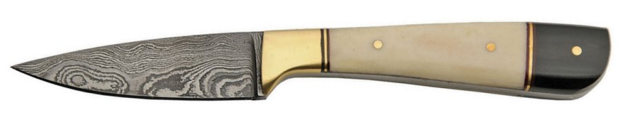 DM1175.jpg(19 kb)
