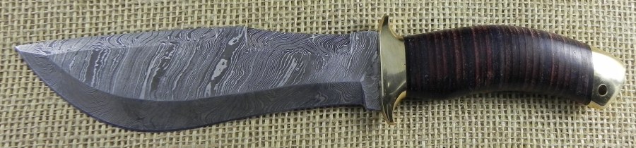 Image4.jpg(73 kb)