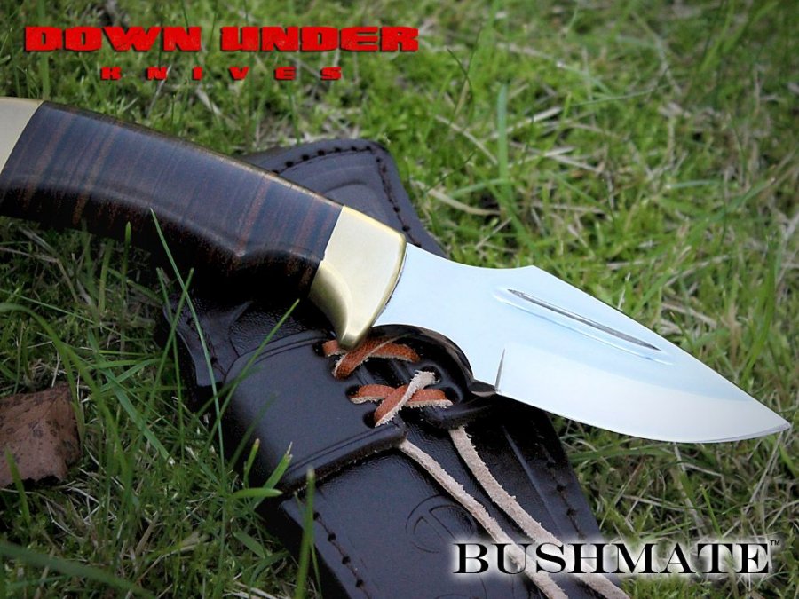 dukbm2.jpg(135 kb)