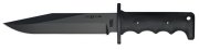 DUS02t.jpg(2 kb)