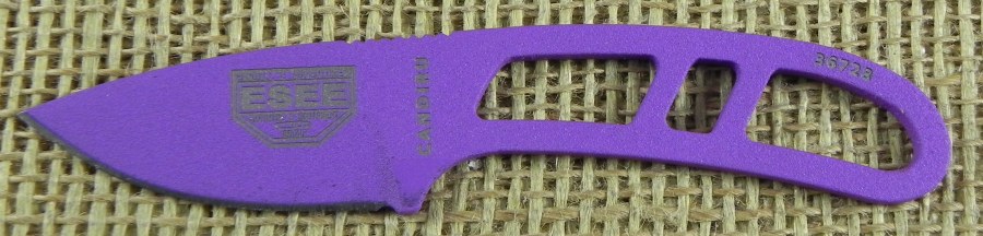 Image10.jpg(66 kb)