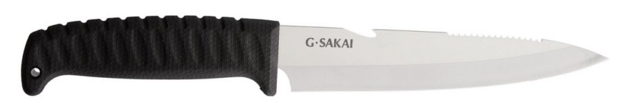 GS10848t.jpg(1 kb)