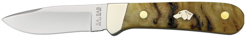 KA8576.jpg(18 kb)