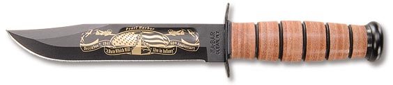 KA9110.jpg(13 kb)