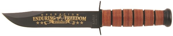 KA9169.jpg(12 kb)