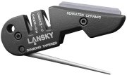 LS52t.jpg(5 kb)