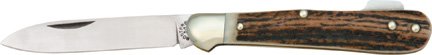 KC275251.jpg(5 kb)