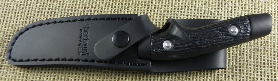Image11.jpg(74 kb)