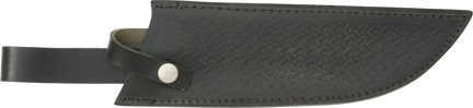 SH900.jpg(7 kb)