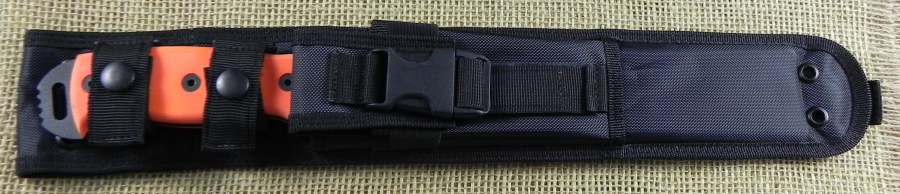 Image11.jpg(63 kb)