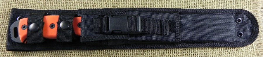 Image13.jpg(67 kb)