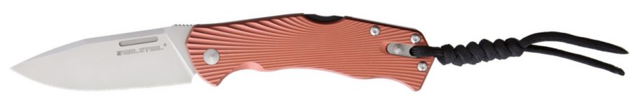RS7798.jpg(16 kb)