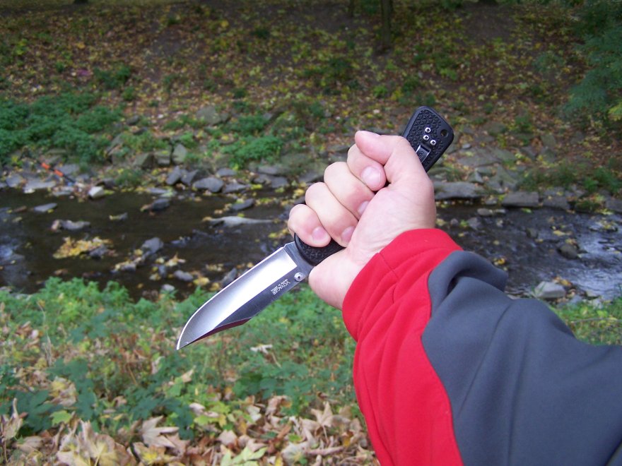 100_4089.jpg(115 kb)