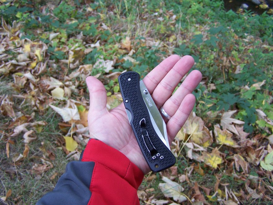 100_4091.jpg(134 kb)