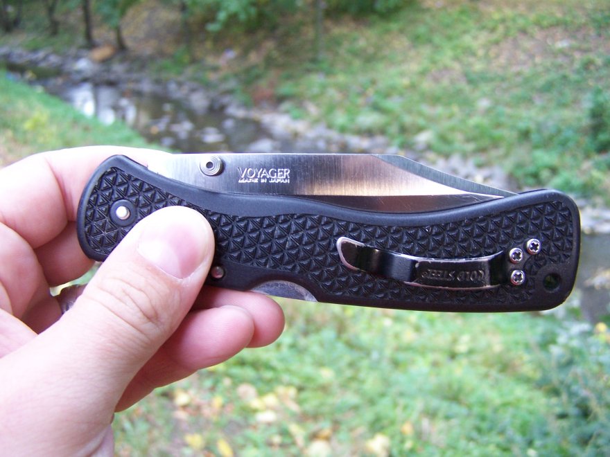 100_4093.jpg(100 kb)