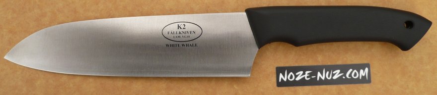 white_whale.jpg(25 kb)